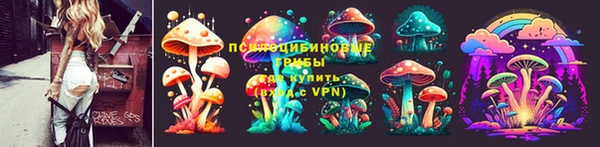 мяу мяу мука Армянск
