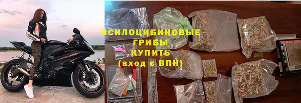 ешки Арсеньев